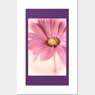 "Petals & Pink" Posters and Art